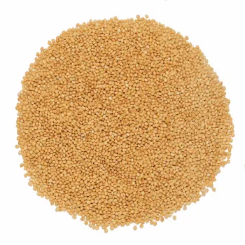 Proso żółte dla gołębi, papug, gryzoni 5 kg